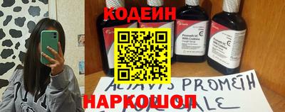 СК Новозыбков
