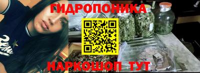 винт Обь