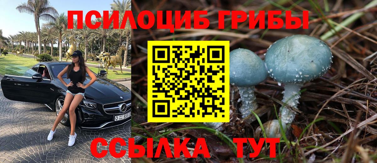 Псилоцибиновые грибы MAGIC MUSHROOMS Сосновый Бор